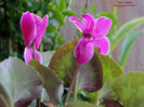 DSCN3351