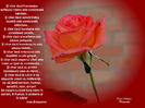 DSCN6253