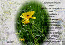 DSCN6256