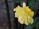 DSCN6813