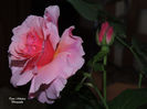 DSCN7064