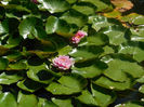 Kasugai garden