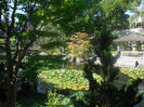 Kasugai garden