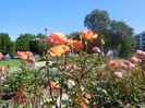 DSCN1261