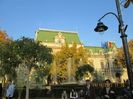 IMG_0613