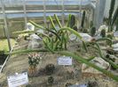 IMG_0655