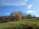 IMG_0676