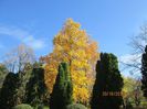 IMG_0683