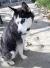 SAM_0047