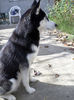 SAM_0048