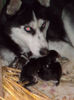 SAM_0057