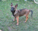 IMG_2034 - Copy