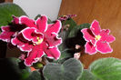 SAM_1572
