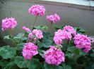 PICT0123