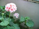 PICT0125