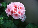 PICT0126