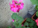 PICT0133