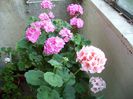 PICT0145