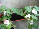 PICT0147