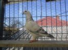 SAM_2405