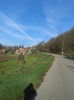 2013-10-20 09.47.39