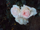 DSC00978