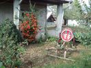 DSC03401