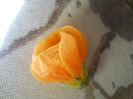 DSCN5218