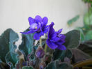 DSCN5221