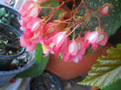 DSCN5225