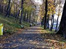 DSC01119
