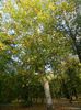DSCN5706