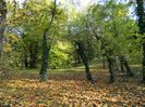 DSCN5716