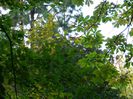 DSCN5723