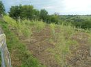 Picture 044(1)