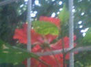 280920131533