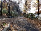 DSC01160