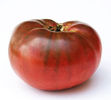 TOMATE BLACK AMERICANE