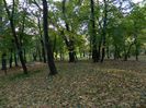 DSCN5777