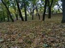 DSCN5778