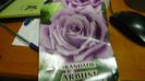arbust bulgaresc albastru-lila