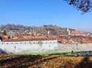 DSC01184