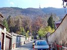 DSC01231