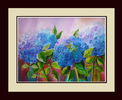 Hydrangeas11