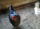 2013-10-25 15.23.41