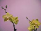 DSCF1377