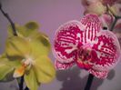 DSCF1383
