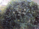 DSC01110