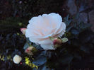 DSC01200
