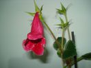 DSC03758